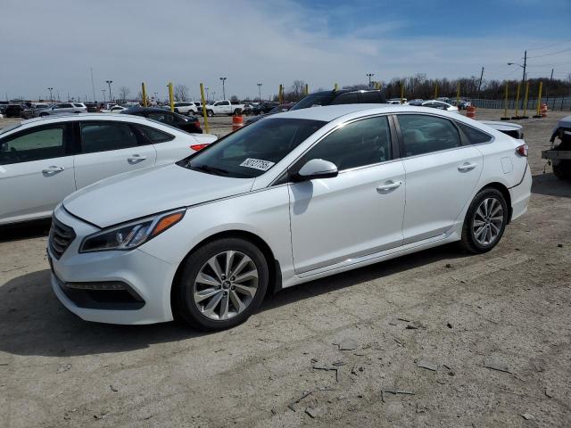 Vin: 5npe34af2gh346281, lot: 50127755, hyundai sonata sport 2016 img_1