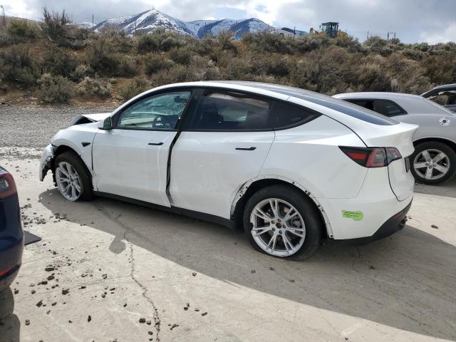2023 TESLA MODEL Y #3296289417