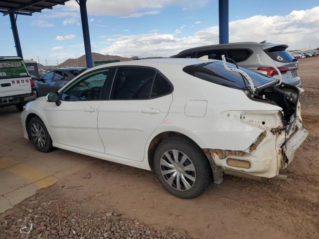 2019 TOYOTA CAMRY LE - 4T1B31HK2KU515634