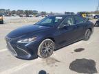 2024 LEXUS ES 350 BAS - 58ADZ1B11RU175984