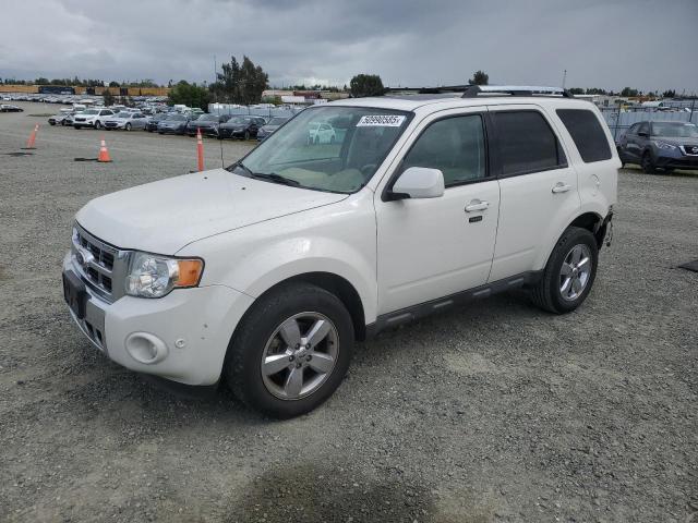 Vin: 1fmcu0e74akc89196, lot: 50990585, ford escape limited 2010 img_1