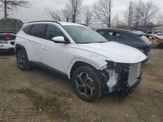 Vin: km8jbdd25ru218163, lot: 49241355, hyundai tucson sel 20244