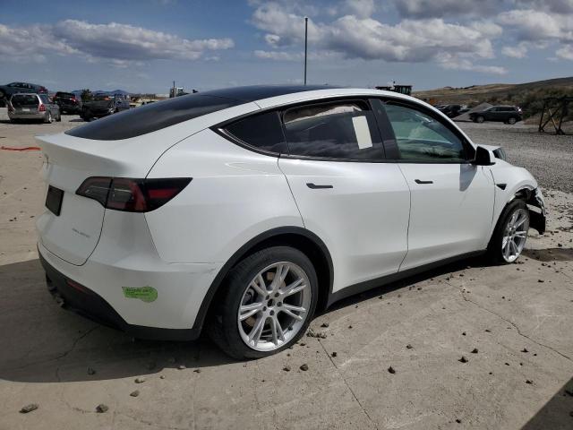 2023 TESLA MODEL Y #3296289417