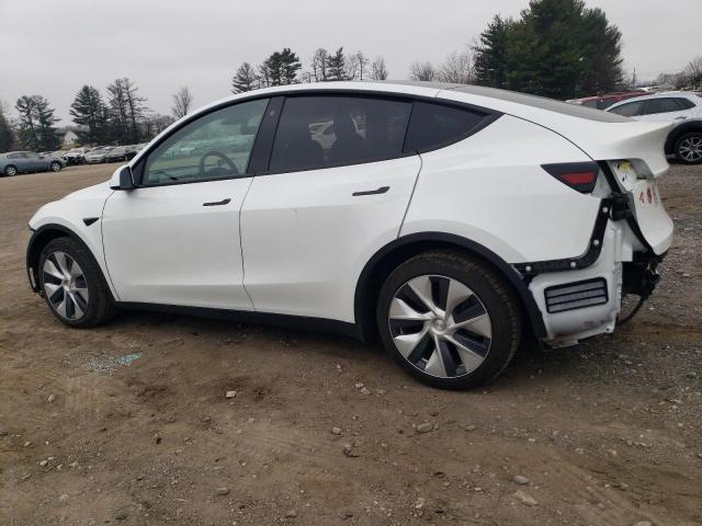 2020 TESLA MODEL Y 5YJYGDEE5LF035973