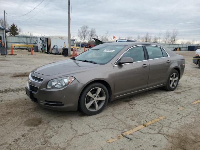 Vin: 1g1zc5e13bf261709, lot: 50805245, chevrolet malibu 1lt 2011 img_1