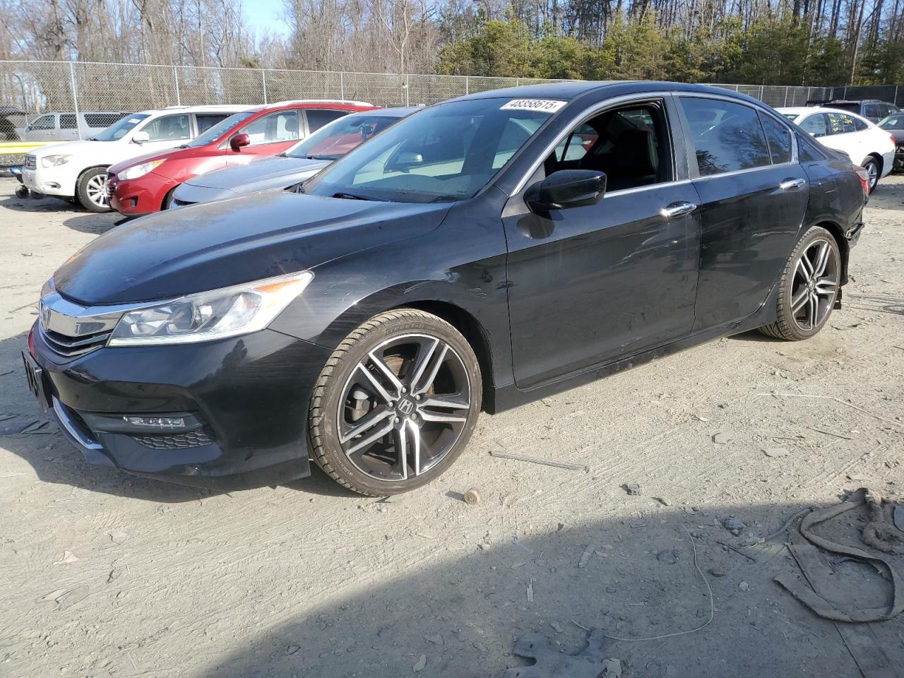HONDA ACCORD SPORT