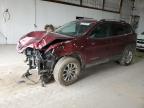 2019 JEEP CHEROKEE L - 1C4PJMCB1KD363063