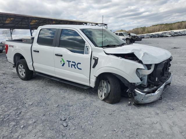Vin: 1ftew1ep8pfa03624, lot: 49273815, ford f-150 supercrew 20234