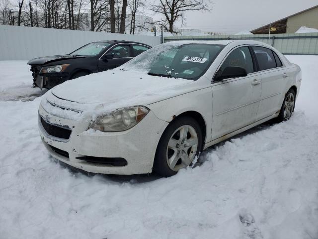 CHEVROLET MALIBU LS 2011 white sedan 4d gas 1G1ZB5E11BF144343 photo #1