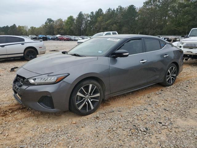NISSAN MAXIMA SV