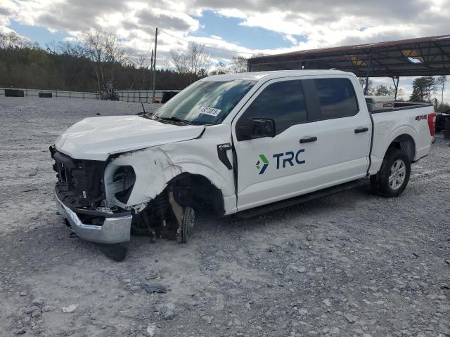 Vin: 1ftew1ep8pfa03624, lot: 49273815, ford f-150 supercrew 2023 img_1