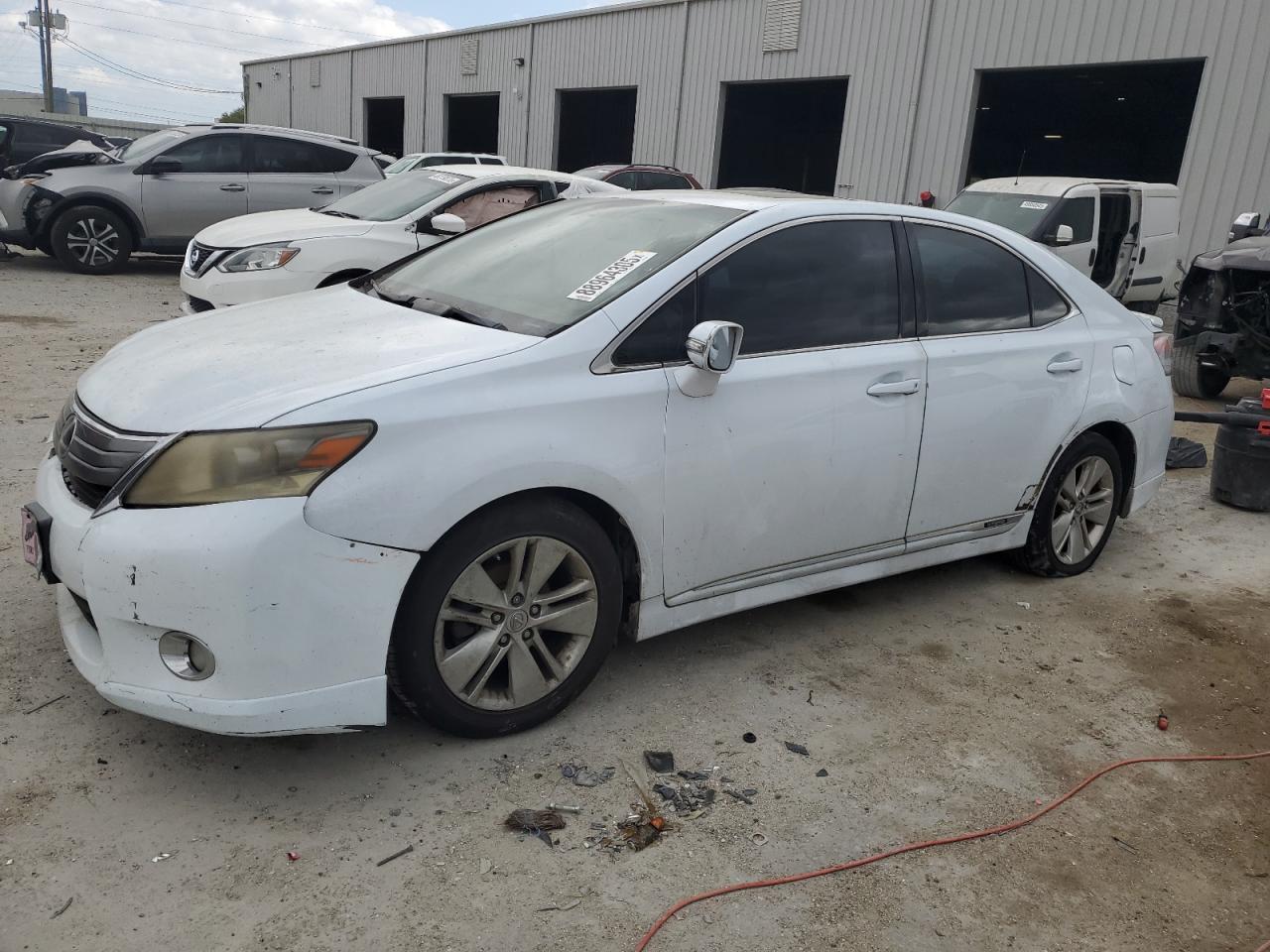 LEXUS HS 250H