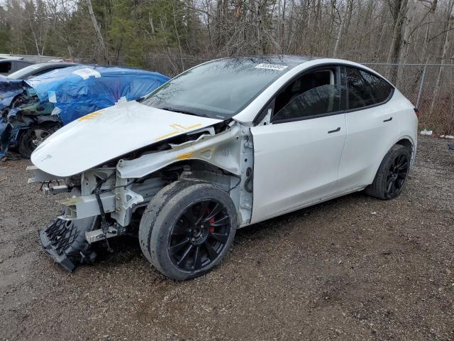 Vin: 5yjygdee9mf086572, lot: 50358495, tesla model y 2021 img_1