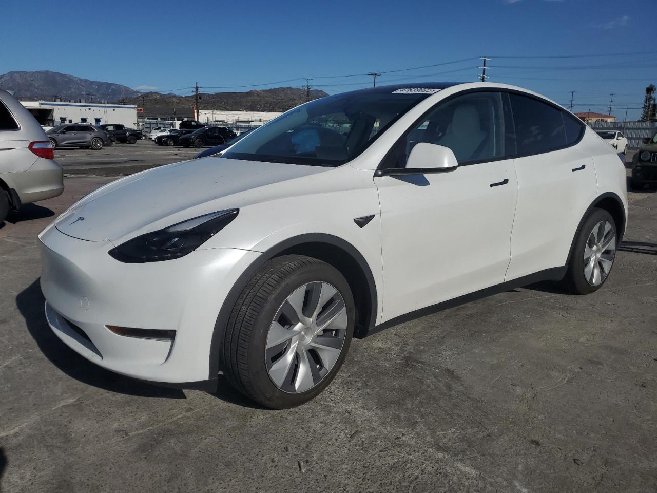 TESLA MODEL Y