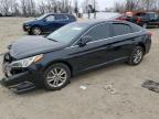 2015 HYUNDAI SONATA SE - 5NPE24AF4FH119630
