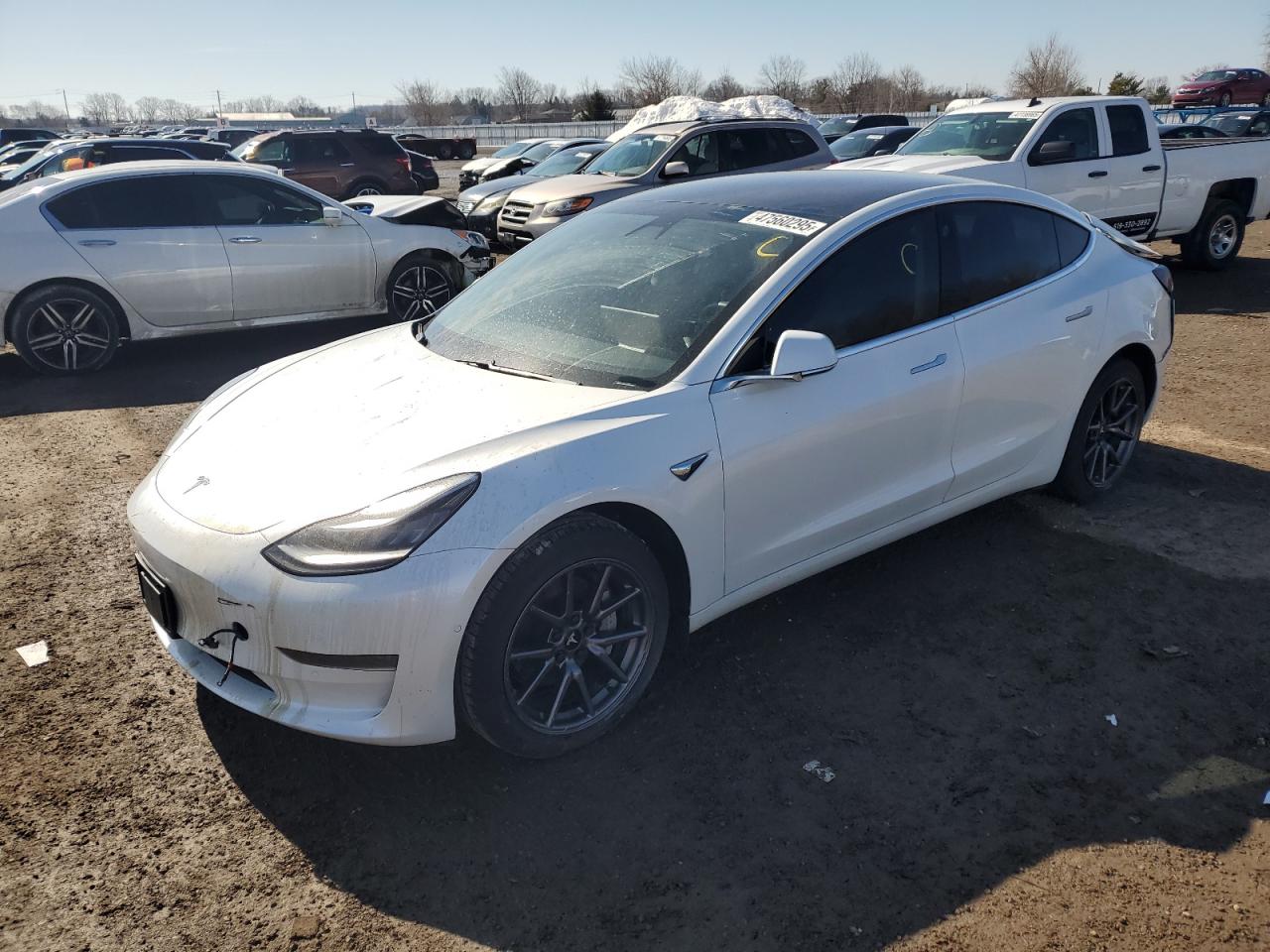 car imagge