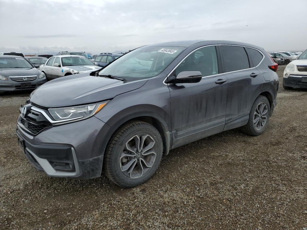 HONDA CR-V EX