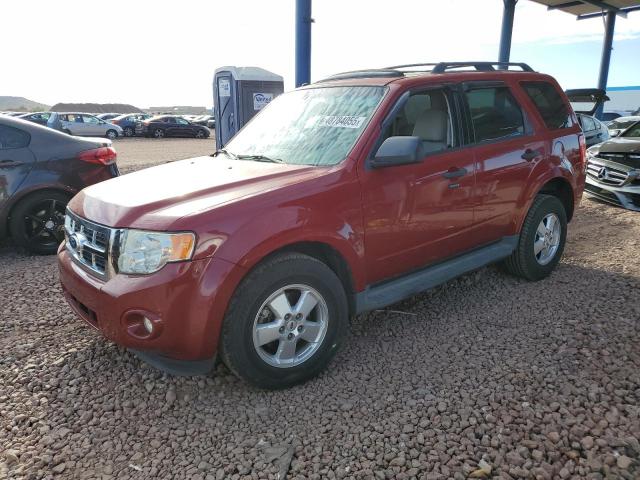 Vin: 1fmcu0d73bkb14392, lot: 48784055, ford escape xlt 2011 img_1
