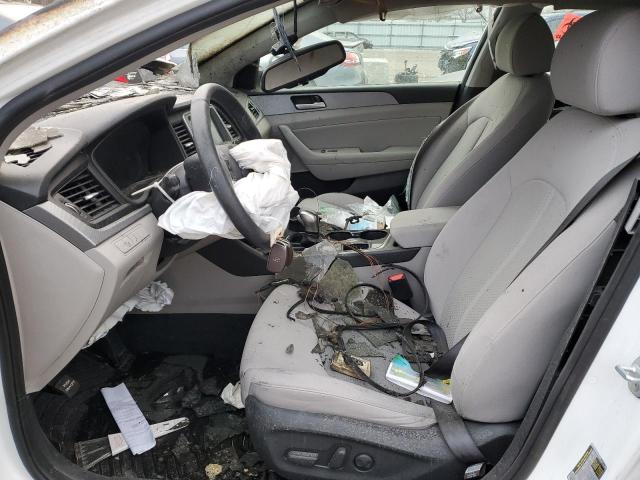 2019 HYUNDAI SONATA LIM - 5NPE34AF1KH762699