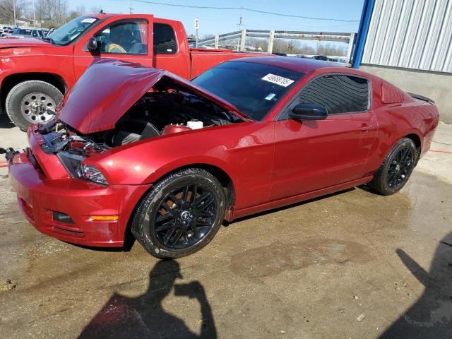 FORD MUSTANG