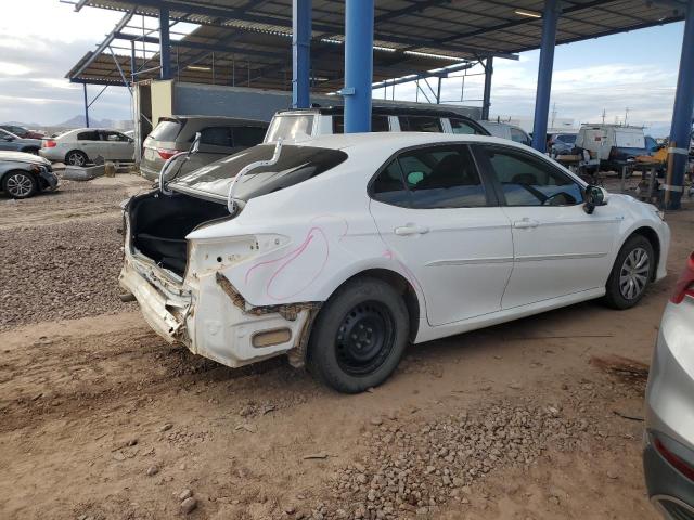 2019 TOYOTA CAMRY LE - 4T1B31HK2KU515634