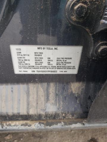 2023 TESLA MODEL Y 7SAYGDED1PF956023