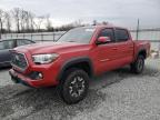 2019 TOYOTA TACOMA DOU - 3TMAZ5CN7KM092495