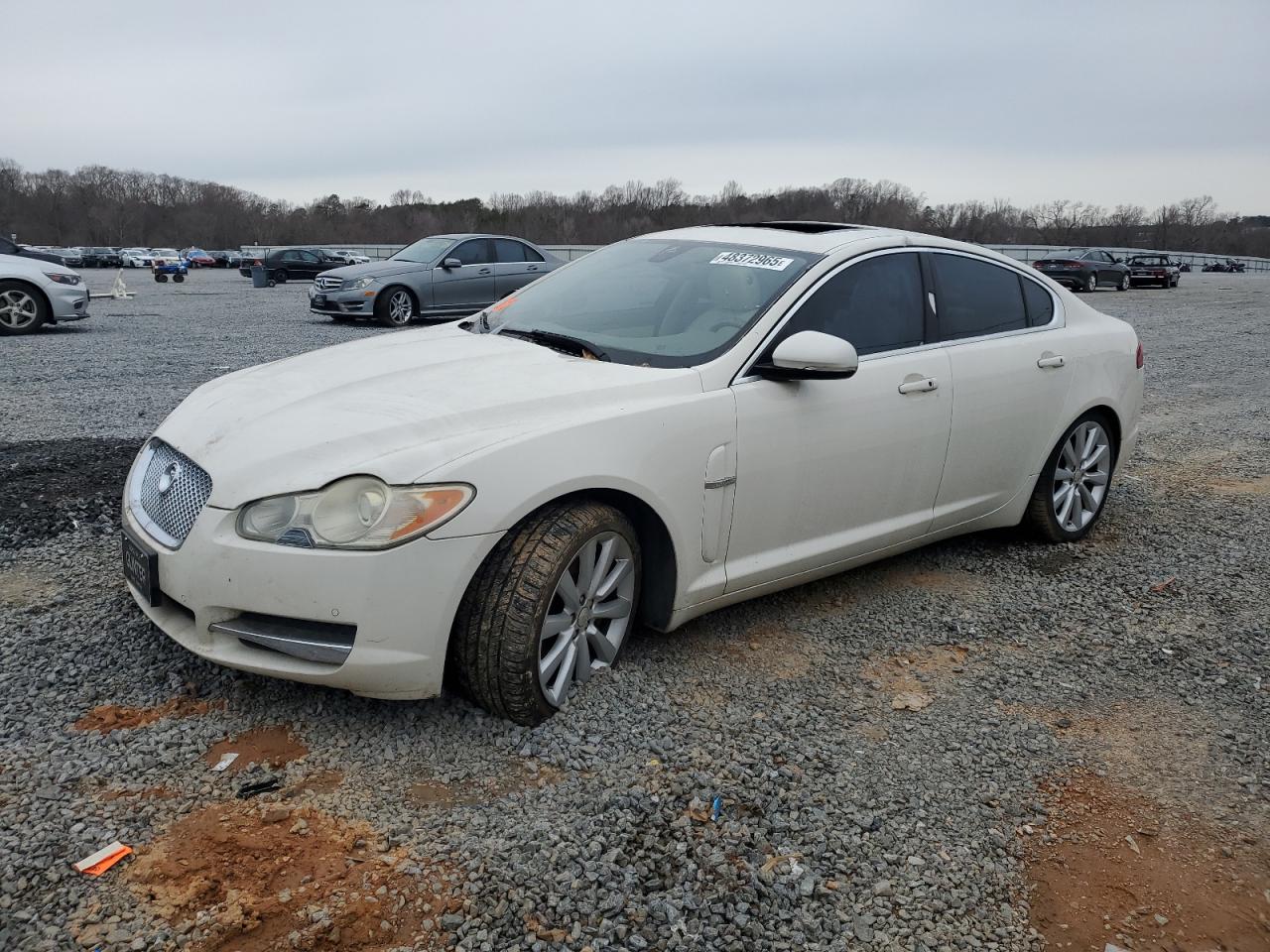JAGUAR XF PREMIUM