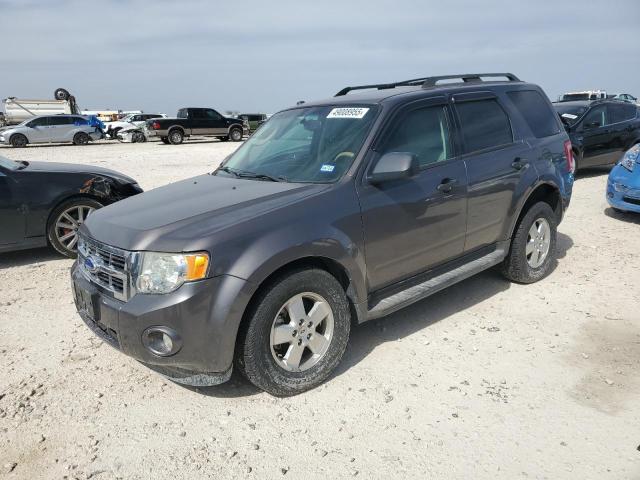 Vin: 1fmcu0d73bkc23452, lot: 49008955, ford escape xlt 2011 img_1