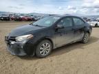 2016 TOYOTA COROLLA L - 2T1BURHE0GC662226