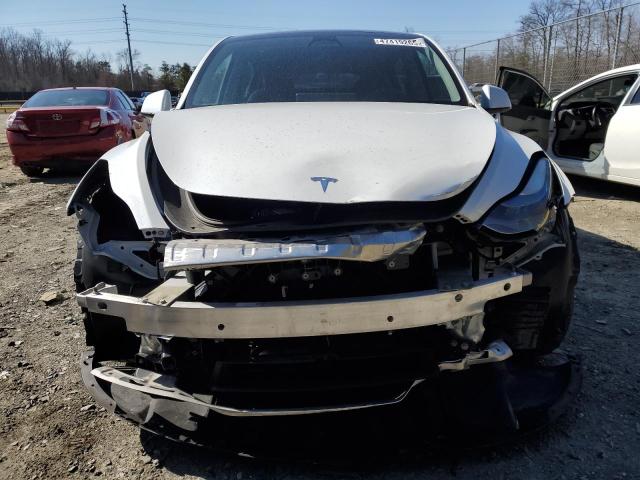 2023 TESLA MODEL Y - 7SAYGDEF4PF779825