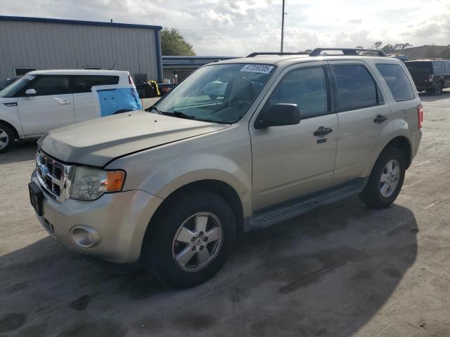 FORD ESCAPE XLT