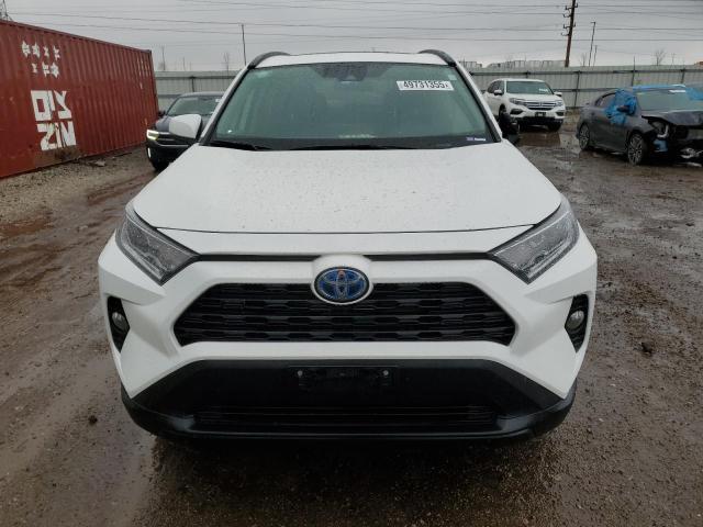 2019 TOYOTA RAV4 XLE - 2T3RWRFV6KW028364