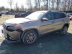 2019 JEEP CHEROKEE L - 1C4PJLLB5KD348737