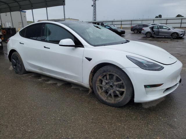 2023 TESLA MODEL 3 - 5YJ3E1EA3PF709958