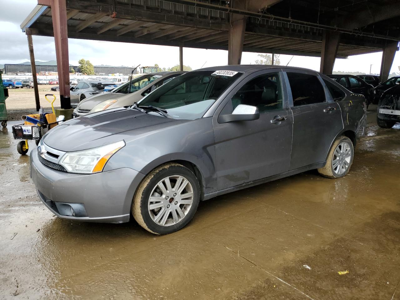 FORD FOCUS SEL