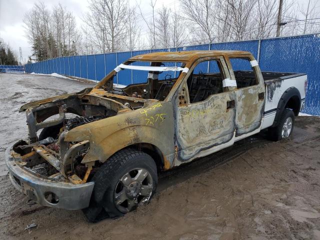 Vin: 1ftfw1ef2dfd58408, lot: 47727275, ford f-150 supercrew 2013 img_1