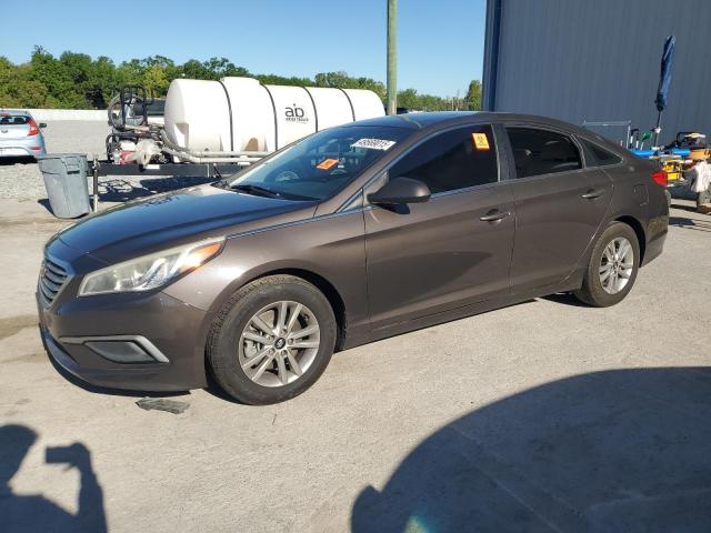 Vin: 5npe24afxgh384974, lot: 49569015, hyundai sonata se 2016 img_1