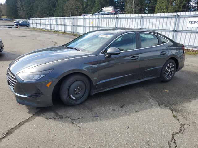 Vin: kmhl24jj7na052454, lot: 50834165, hyundai sonata hybrid 2022 img_1