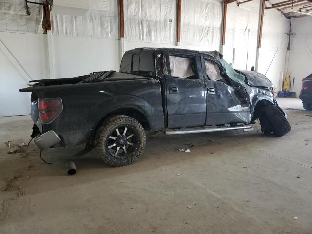 Vin: 1ftfw1ct7dke14729, lot: 53668085, ford f-150 supercrew 20133