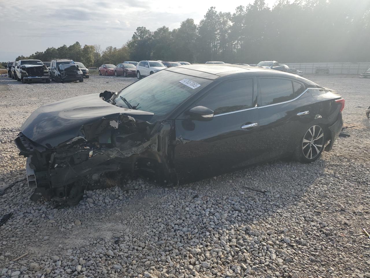 NISSAN MAXIMA 3.5S