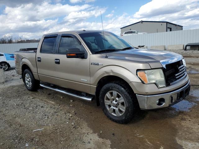 Vin: 1ftfw1ct6bfb80623, lot: 50228485, ford f-150 supercrew 20114
