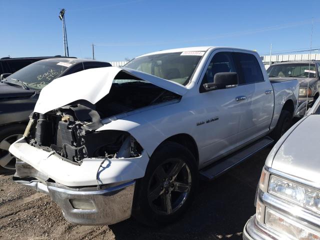 1D7RB1CT6AS126601 2010 DODGE All Models