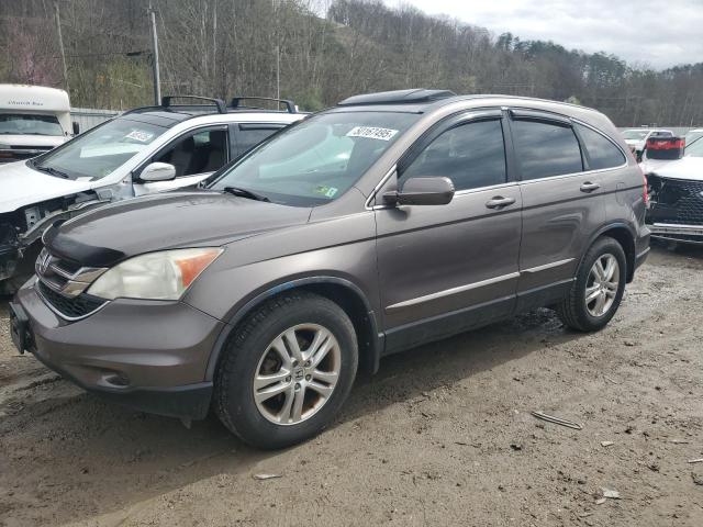 Vin: 5j6re4h79al071029, lot: 50167495, honda crv exl 2010 img_1