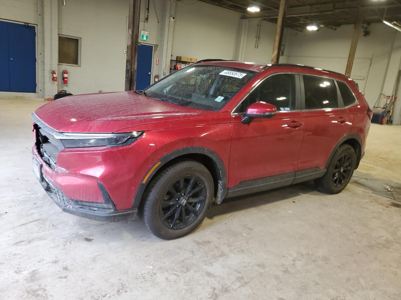 HONDA CR-V SPORT