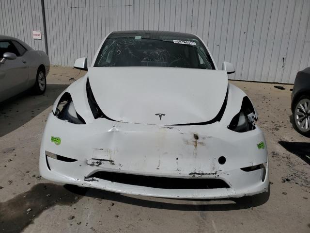 2023 TESLA MODEL Y #3296289417