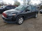 Top Destinations for Shipping Cars from the USA