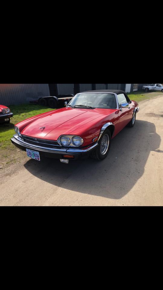 Lot #3125216362 1990 JAGUAR XJS CLASSI