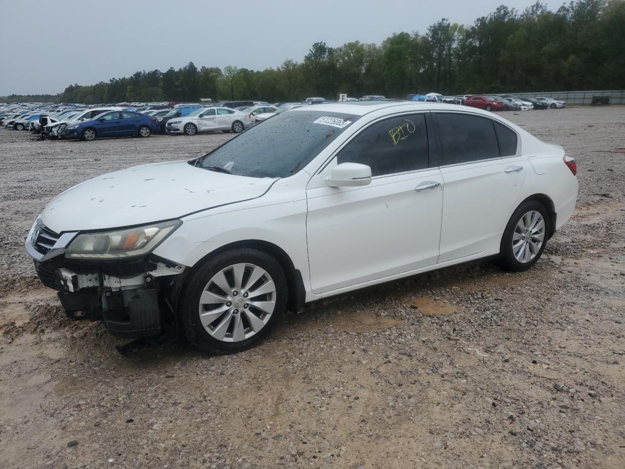 HONDA ACCORD EXL
