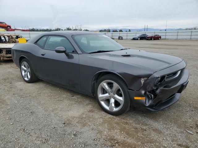 Vin: 2c3cdybt0dh741262, lot: 49185255, dodge challenger r/t 20134